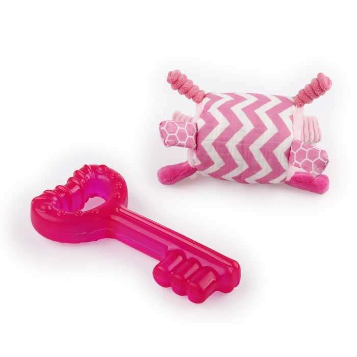Bild 1 von All for Paws Little Buddy - Teething Key Rosa