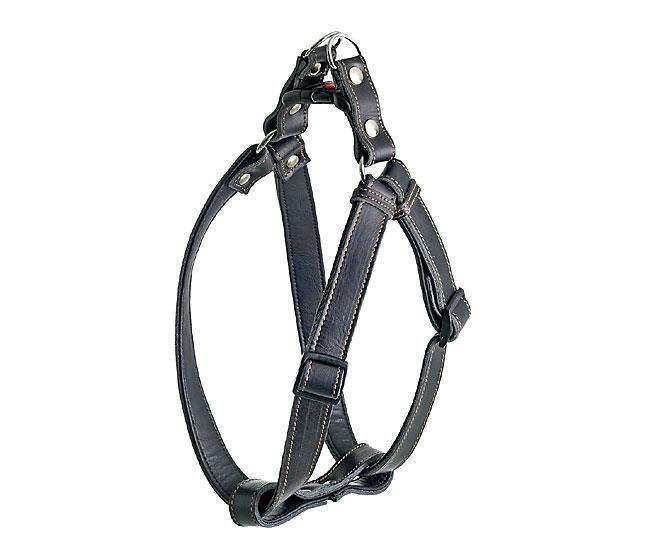 Bild 1 von Karlie RONDO Geschirr 1 2 3 Step & Go  / (Variante) 25 mm, 40-70 cm