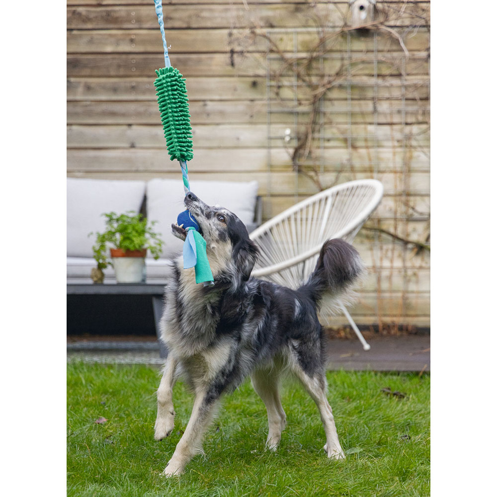 Bild 1 von Beeztees Hundespielzeug Kino + Ball - 90 x 10 x 6 cm