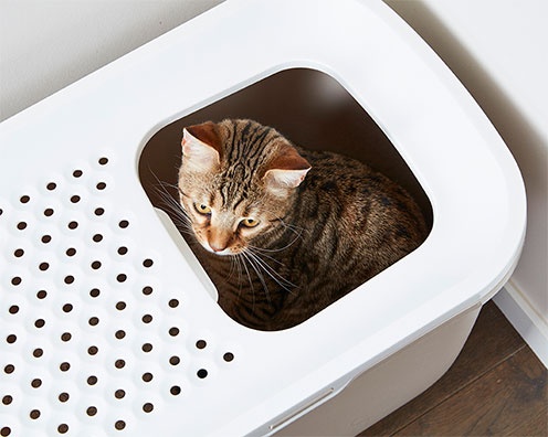Bild 1 von Savic Katzentoilette Hop In  / (Variante) Savic Katzentoilette Hop In champagner/toskanarot