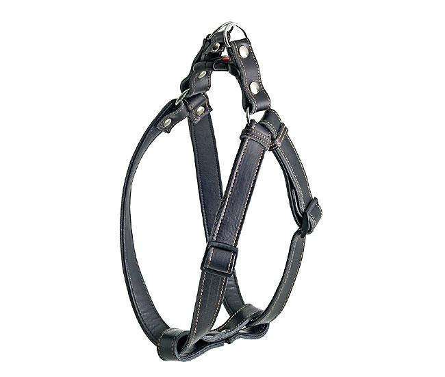 Bild 1 von Karlie RONDO Geschirr 1 2 3 Step & Go  / (Variante) 20 mm, 35-60 cm