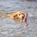 Bild 6 von Trixie Aqua Toy Leuchtturm am Seil