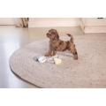 Bild 8 von Beeztees Puppy Braingame Lot