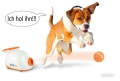 Bild 5 von Doggy Fun Ballwurfmaschine