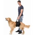 Bild 2 von Trixie Hebehilfe für Hunde  / (Variante) M / 60-65 cm