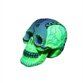 Bild 3 von Aqua Della Dia de los Muertos Totenkopf 2