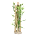Bild 4 von Aqua Della Bambusornament  / (Variante) L 10,5x8,5x26cm