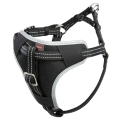 Bild 2 von Trixie Auto-Sicherheitsgeschirr Dog Protect  / (Variante) S-M: 40-55 cm