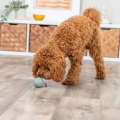 Bild 2 von Trixie Labyrinth-Snacky Naturgummi-Snackball  / (Variante) 6 cm