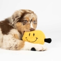Bild 2 von Coockoo Hundespielzeug Bouncy Buddy - gelb