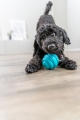 Bild 3 von Trixie Super Strong Ball  / (Variante) 7,5 cm