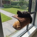 Bild 2 von D&D Fensterbett Riley - Braun