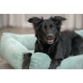 Bild 2 von Trixie Vital Bett Jonna - salbei  / (Variante) 100 × 70 cm