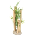 Bild 2 von Aqua Della Bambusornament  / (Variante) L 10,5x8,5x26cm