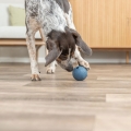 Bild 2 von Trixie Labyrinth-Snacky Naturgummi-Snackball  / (Variante) 7 cm