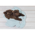 Bild 3 von Beeztees Hundematte Welpe Pimba - hellblau