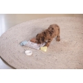 Bild 7 von Beeztees Puppy Braingame Lot